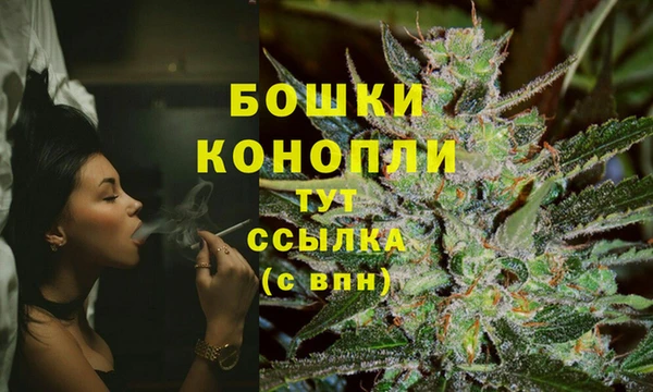 эйфоретик Аша