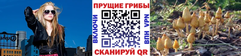 Галлюциногенные грибы Cubensis hydra tor Отрадное